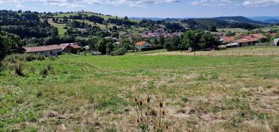 Terrain à Laussonne en Haute-Loire (43) de 9300 m² à vendre au prix de 82000€ - 1