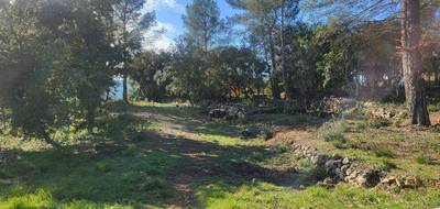 Terrain et maison à Montfort-sur-Argens en Var (83) de 115 m² à vendre au prix de 380000€ - 4