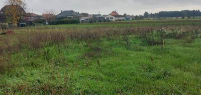 Terrain et maison à Wolfgantzen en Haut-Rhin (68) de 125 m² à vendre au prix de 421000€ - 4