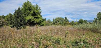 Terrain et maison à Sénas en Bouches-du-Rhône (13) de 88 m² à vendre au prix de 334867€ - 3