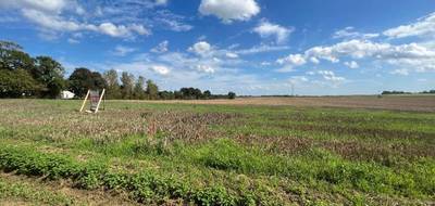 Terrain à Tilloy-lès-Hermaville en Pas-de-Calais (62) de 800 m² à vendre au prix de 50000€ - 2