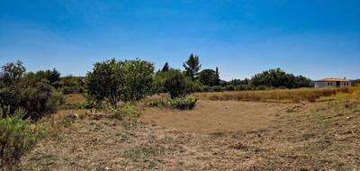 Terrain à Lorgues en Var (83) de 800 m² à vendre au prix de 119000€ - 1