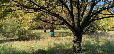 Terrain à Pignans en Var (83) de 500 m² à vendre au prix de 115000€ - 3