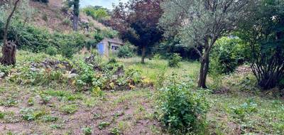 Terrain et maison à La Cadière-d'Azur en Var (83) de 100 m² à vendre au prix de 549000€ - 4