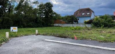 Terrain à Issenheim en Haut-Rhin (68) de 397 m² à vendre au prix de 88500€ - 3