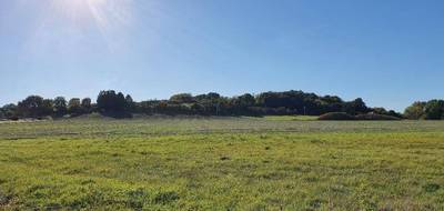 Terrain et maison à Bouesse en Indre (36) de 95 m² à vendre au prix de 193650€ - 3