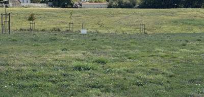 Terrain et maison à Sainte-Hermine en Vendée (85) de 120 m² à vendre au prix de 242738€ - 4