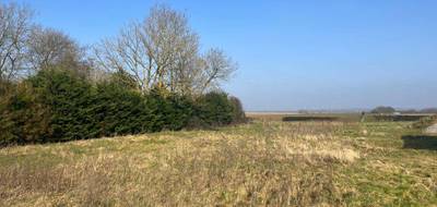 Terrain à Ligescourt en Somme (80) de 1600 m² à vendre au prix de 39000€ - 3