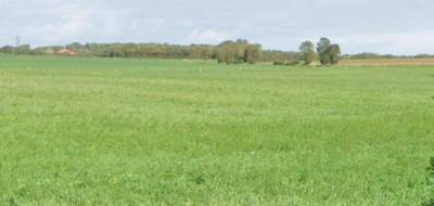Terrain à Ballon en Charente-Maritime (17) de 308 m² à vendre au prix de 53900€ - 1