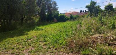 Terrain à Cuers en Var (83) de 449 m² à vendre au prix de 195000€ - 1
