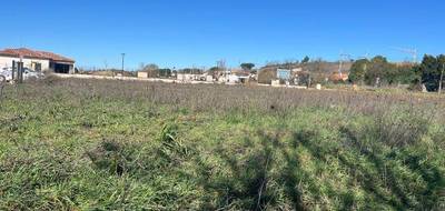 Terrain à Baziège en Haute-Garonne (31) de 576 m² à vendre au prix de 139900€ - 3