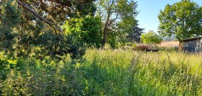 Terrain et maison à Saint-Just-le-Martel en Haute-Vienne (87) de 90 m² à vendre au prix de 263600€ - 4