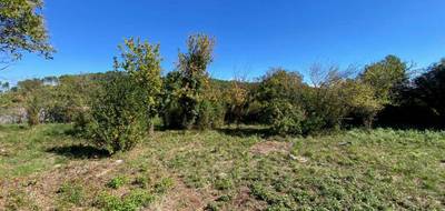 Terrain à Carnoules en Var (83) de 250 m² à vendre au prix de 83000€ - 2