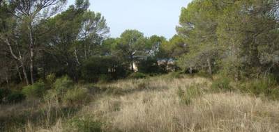 Terrain à Pierrefeu-du-Var en Var (83) de 343 m² à vendre au prix de 150000€ - 3