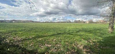 Terrain et maison à Bellerive-sur-Allier en Allier (03) de 96 m² à vendre au prix de 231385€ - 4