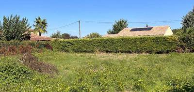 Terrain à Gonfaron en Var (83) de 816 m² à vendre au prix de 145000€ - 2