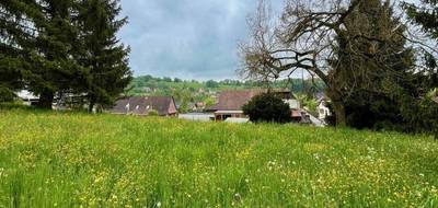 Terrain à Bendorf en Haut-Rhin (68) de 1500 m² à vendre au prix de 134000€ - 1