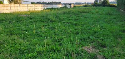 Terrain à Ardres en Pas-de-Calais (62) de 1000 m² à vendre au prix de 64500€ - 1