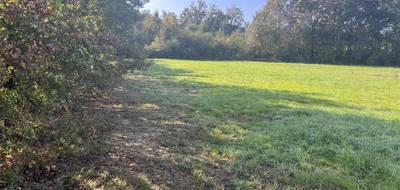 Terrain à Bressols en Tarn-et-Garonne (82) de 1017 m² à vendre au prix de 97000€ - 4