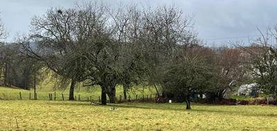 Terrain à Boisset en Cantal (15) de 3000 m² à vendre au prix de 32000€ - 2