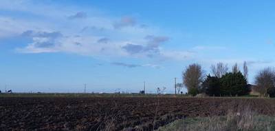 Terrain et maison à Vitry-en-Artois en Pas-de-Calais (62) de 80 m² à vendre au prix de 200000€ - 3