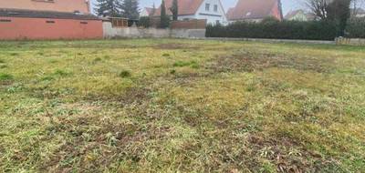 Terrain et maison à Illhaeusern en Haut-Rhin (68) de 102 m² à vendre au prix de 377000€ - 4