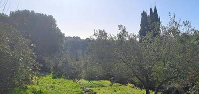 Terrain à Vence en Alpes-Maritimes (06) de 1000 m² à vendre au prix de 320000€ - 1