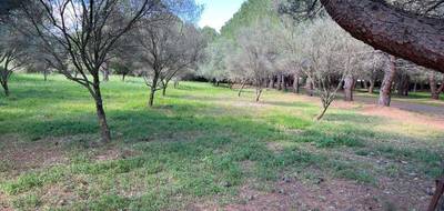 Terrain à Lézignan-la-Cèbe en Hérault (34) de 413 m² à vendre au prix de 123500€ - 2