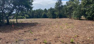 Terrain à Pontenx-les-Forges en Landes (40) de 700 m² à vendre au prix de 97000€ - 1