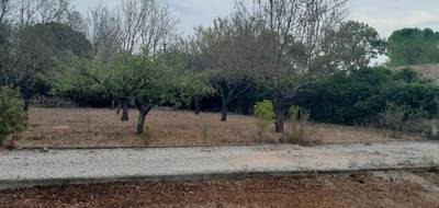 Terrain à Brignoles en Var (83) de 486 m² à vendre au prix de 139000€ - 3