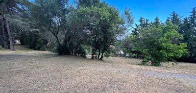 Terrain à Roquebrune-sur-Argens en Var (83) de 744 m² à vendre au prix de 260000€ - 3