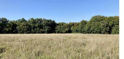 Terrain à Bouliac en Gironde (33) de 925 m² à vendre au prix de 334000€ - 1