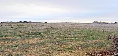 Terrain à Sallèles-d'Aude en Aude (11) de 488 m² à vendre au prix de 84900€ - 3