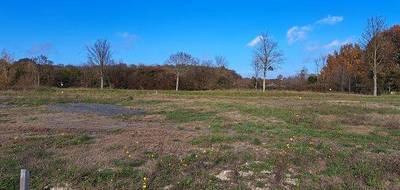 Terrain et maison à Loire-Authion en Maine-et-Loire (49) de 100 m² à vendre au prix de 285100€ - 3