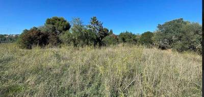 Terrain à Beaucaire en Gard (30) de 300 m² à vendre au prix de 97000€ - 2