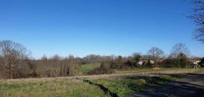 Terrain à Villeneuve-de-Rivière en Haute-Garonne (31) de 1753 m² à vendre au prix de 68000€ - 1