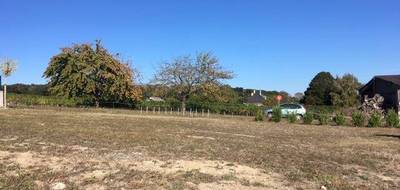 Terrain et maison à Distré en Maine-et-Loire (49) de 93 m² à vendre au prix de 243595€ - 4