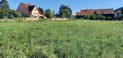 Terrain à Vogelgrun en Haut-Rhin (68) de 810 m² à vendre au prix de 129000€ - 2