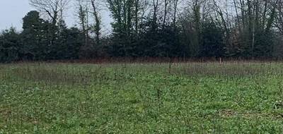 Terrain et maison à Saint-Laurent-de-la-Prée en Charente-Maritime (17) de 100 m² à vendre au prix de 287543€ - 4