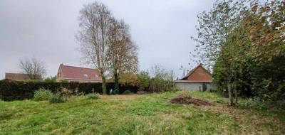 Terrain et maison à Lestrem en Pas-de-Calais (62) de 115 m² à vendre au prix de 316300€ - 1