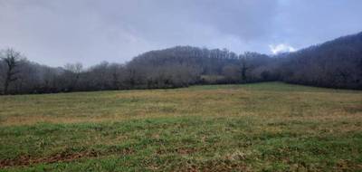 Terrain à Loubressac en Lot (46) de 1254 m² à vendre au prix de 31350€ - 1