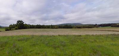 Terrain à Martres-Tolosane en Haute-Garonne (31) de 3000 m² à vendre au prix de 43000€ - 1