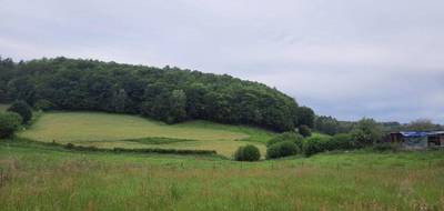 Terrain à Lacapelle-Viescamp en Cantal (15) de 1683 m² à vendre au prix de 33500€ - 3