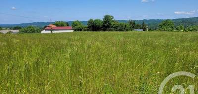 Terrain à Bonrepos en Hautes-Pyrénées (65) de 2589 m² à vendre au prix de 32500€ - 3