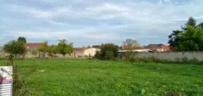 Terrain à Flines-lez-Raches en Nord (59) de 550 m² à vendre au prix de 65000€ - 1