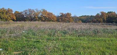 Terrain et maison à Peynier en Bouches-du-Rhône (13) de 130 m² à vendre au prix de 500000€ - 3