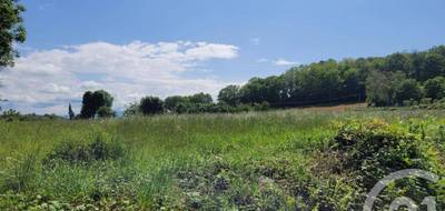 Terrain à Bonrepos en Hautes-Pyrénées (65) de 2326 m² à vendre au prix de 25000€ - 2