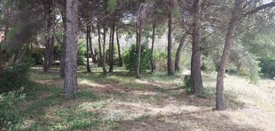 Terrain à Sanary-sur-Mer en Var (83) de 500 m² à vendre au prix de 540000€ - 4