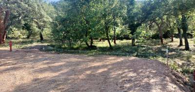 Terrain et maison à Les Mayons en Var (83) de 90 m² à vendre au prix de 359000€ - 4