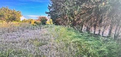 Terrain à Frontignan en Hérault (34) de 650 m² à vendre au prix de 265000€ - 2